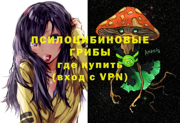эйфоретик Алзамай